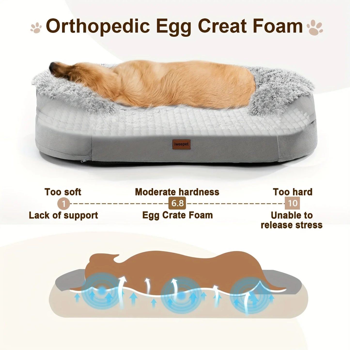 Gorsmoon Orthopedic Egg Foam Dog Bed With Removable Washable Cover