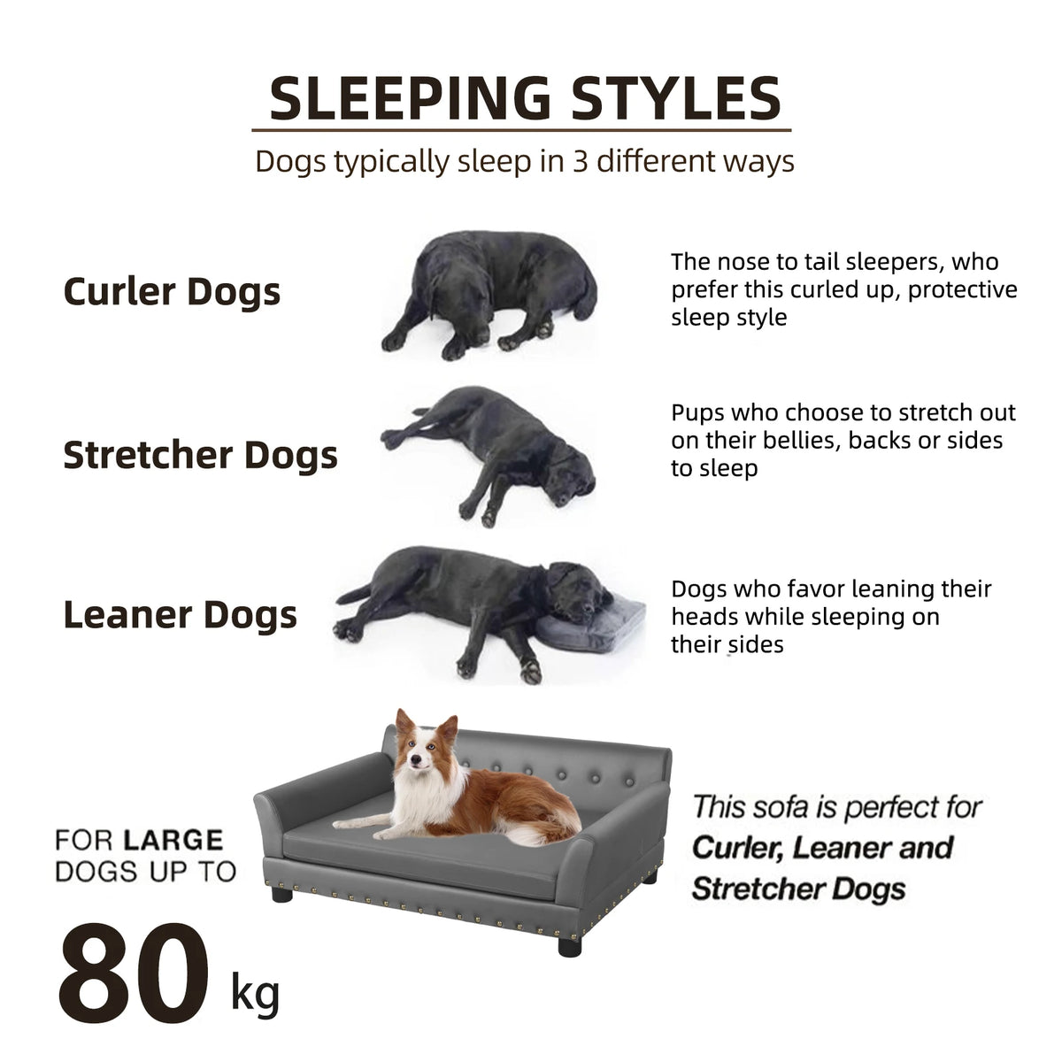 Bingopaw Elevated Dog Bed Sofa With Waterproof Cushion