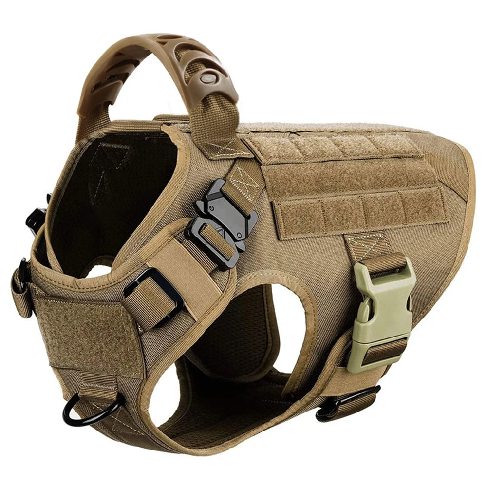 Nylon Breakaway Padded Dog Harness And Leash Set For Walking