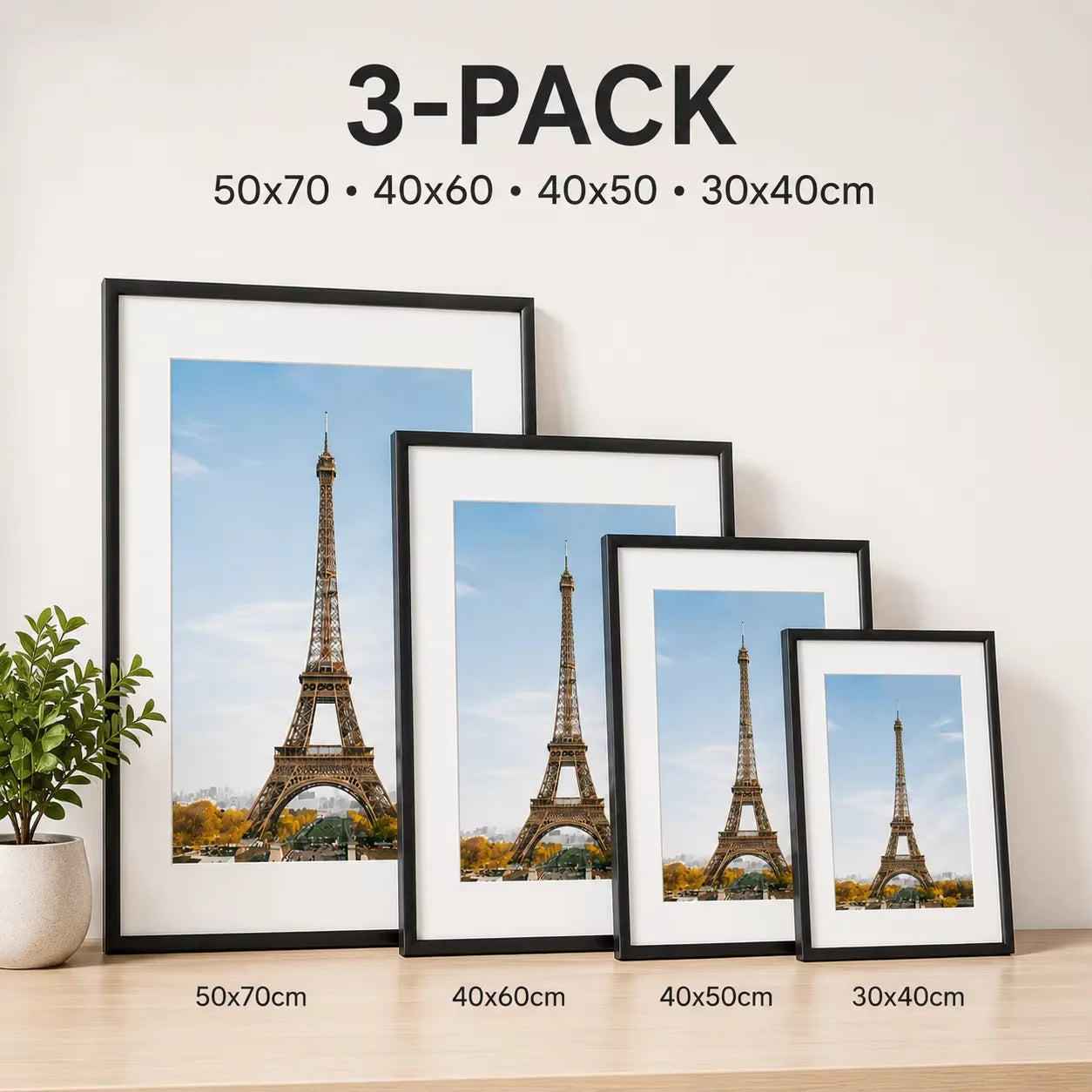 Modern Aluminum Picture Frames Set, 3 Pieces, With Mat