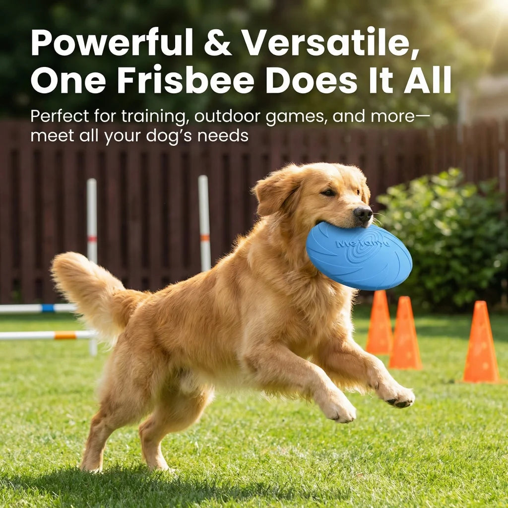 6 Pack Dog Flying Disc Toys Bite Resistant Waterproof Training
