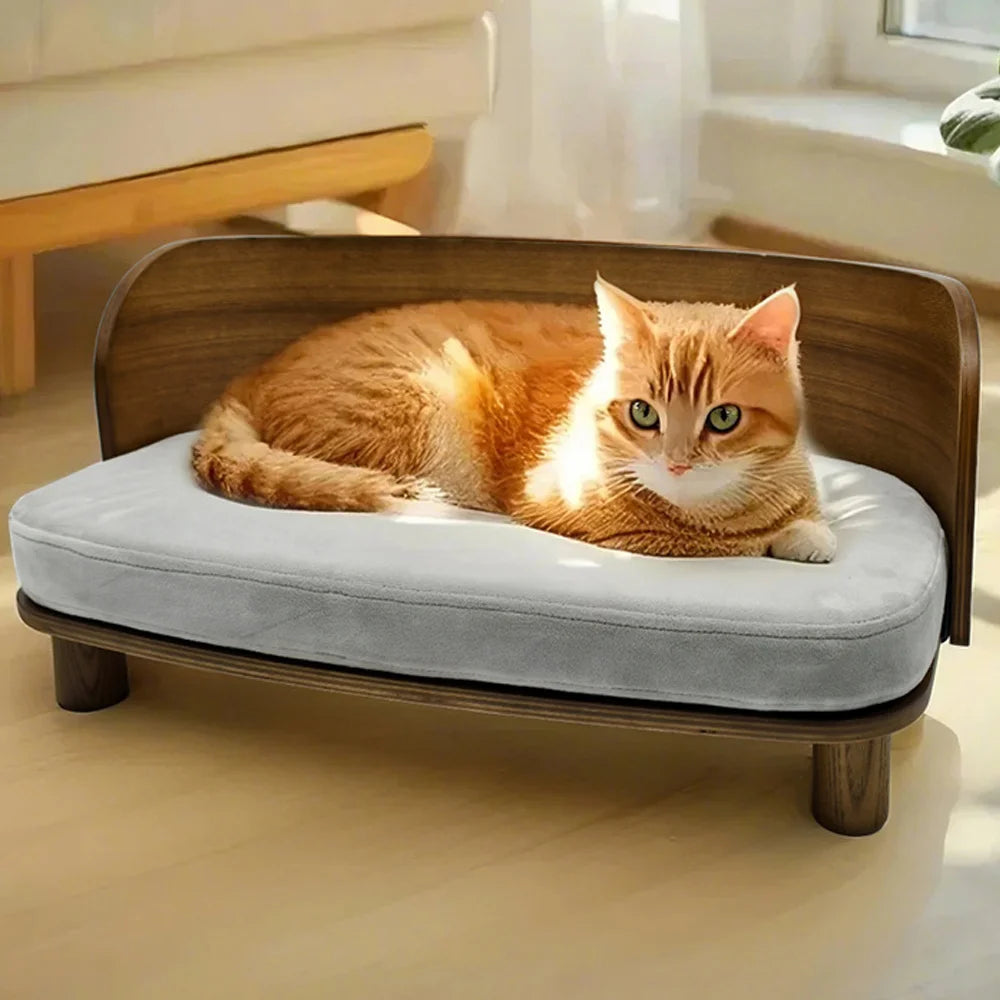 Borwart Elevated Pet Sofa With Eucalyptus Wood Frame And Cushion