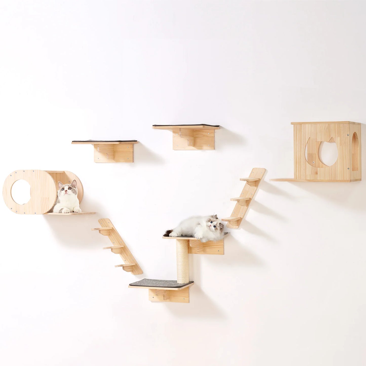 SucceBuy Wall Mounted Cat Shelves And Perches Cat Tree Kit