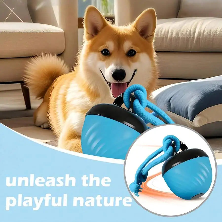 Interactive Dog Toy Ball With Rope Rolling Automatic Toy