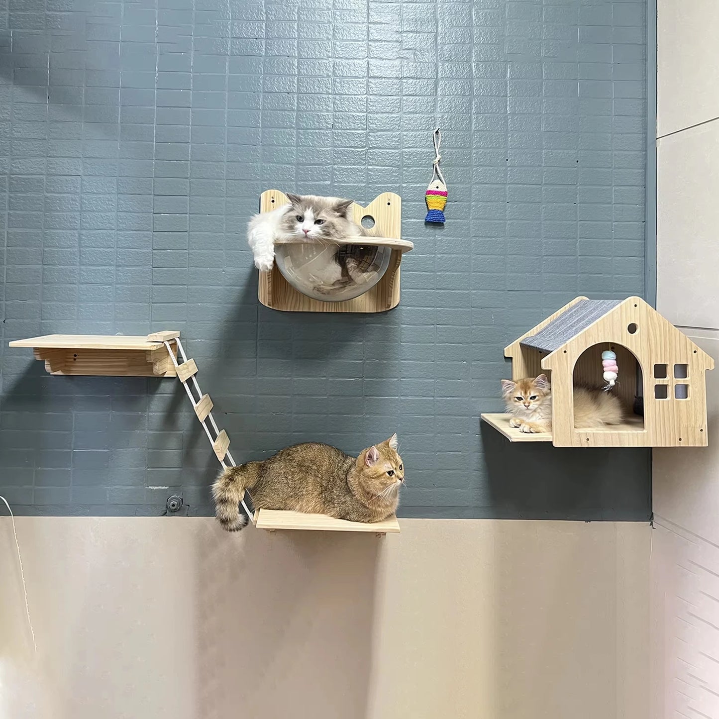 Wooden Cat Condo Villa Wall Mounted Shelf for Cats