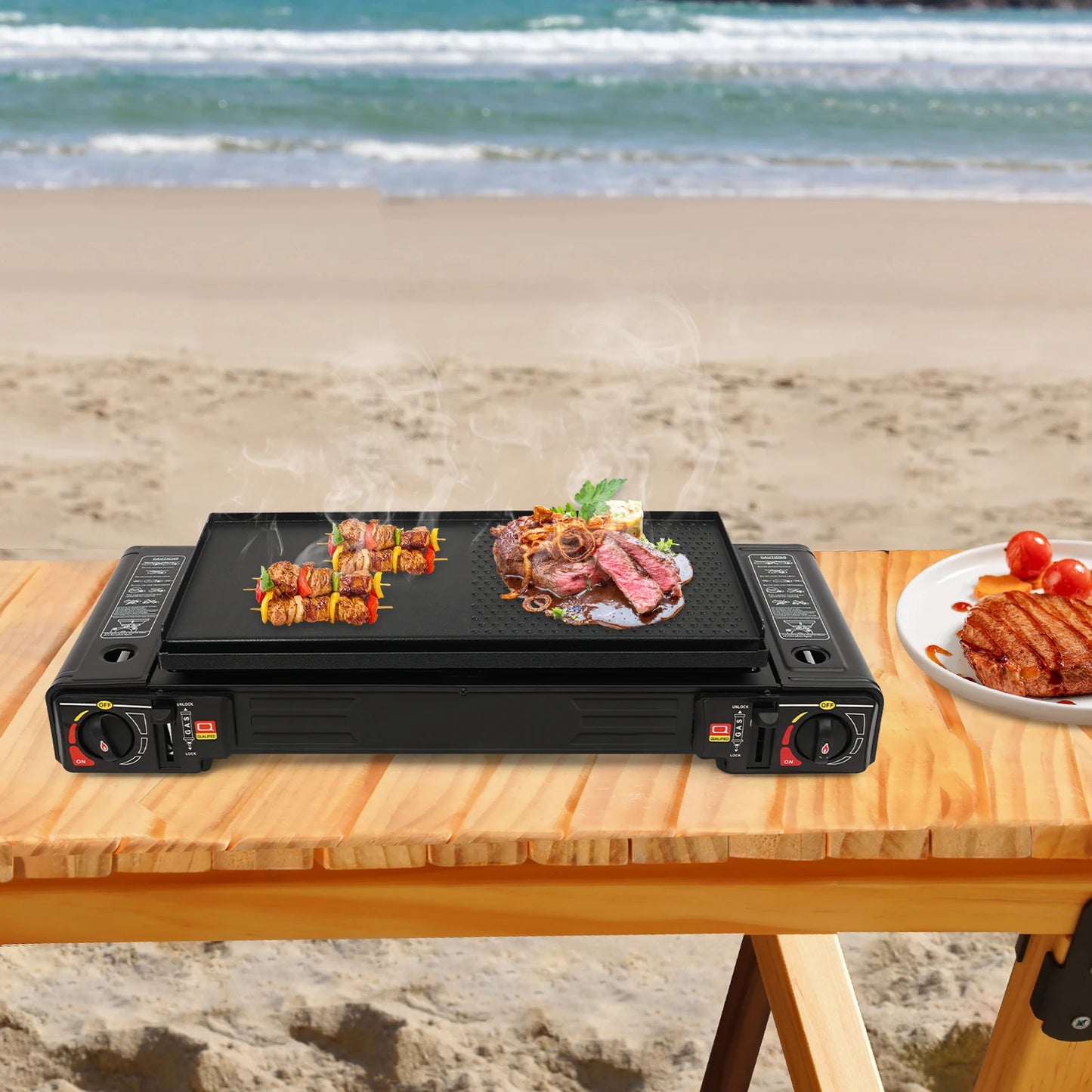 Portable Camping Stove Two Burner With Baking Tray And Case