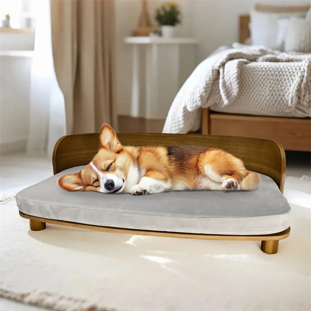Borwart Elevated Pet Sofa With Eucalyptus Wood Frame And Cushion