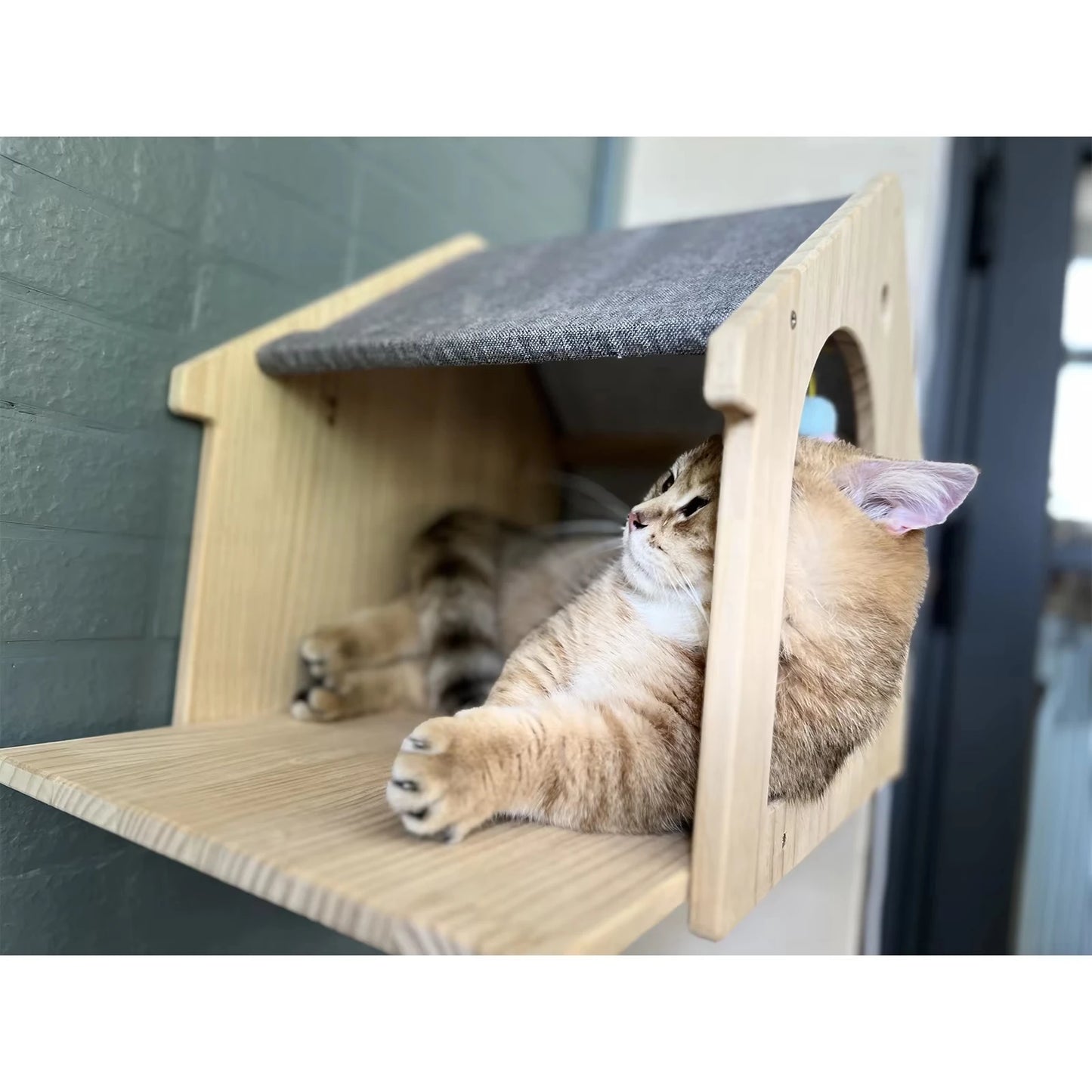 Wooden Cat Condo Villa Wall Mounted Shelf for Cats