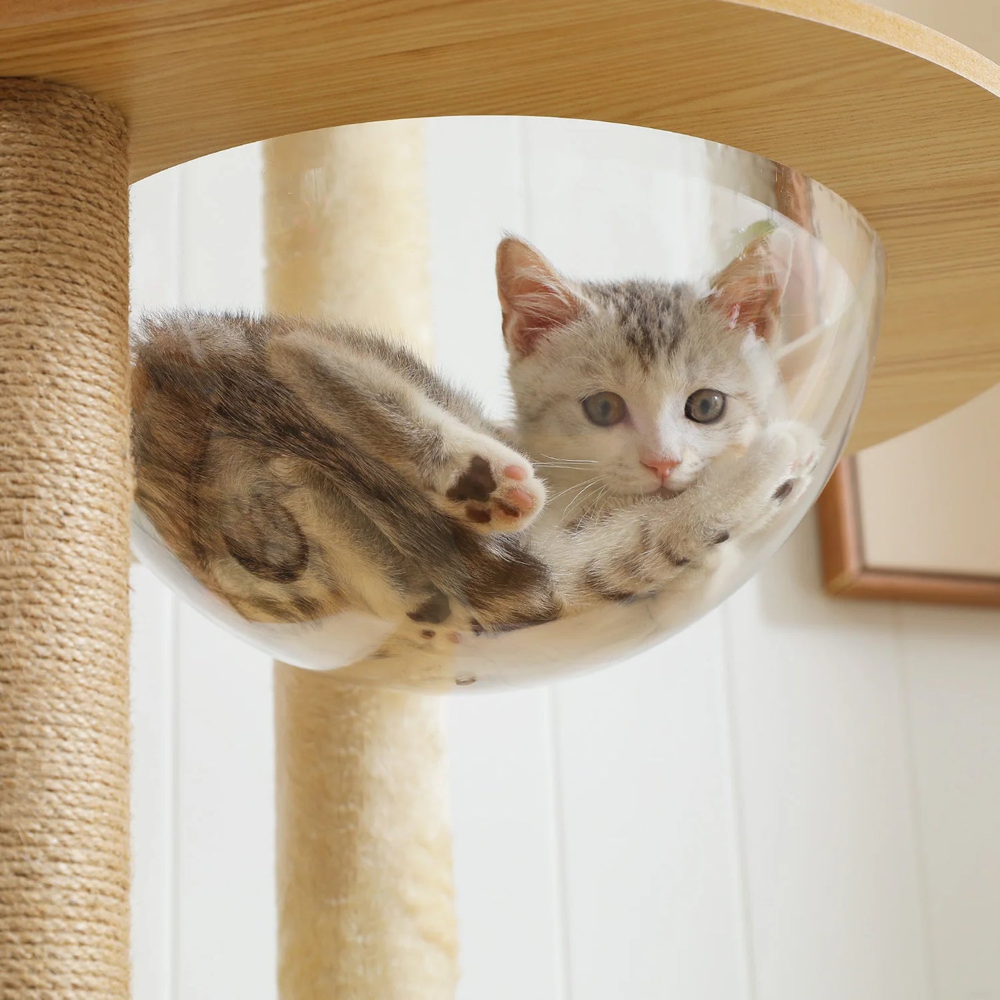 PAWZ Ro Multi-Level Cat Tree Indoor Wood Tower Deluxe