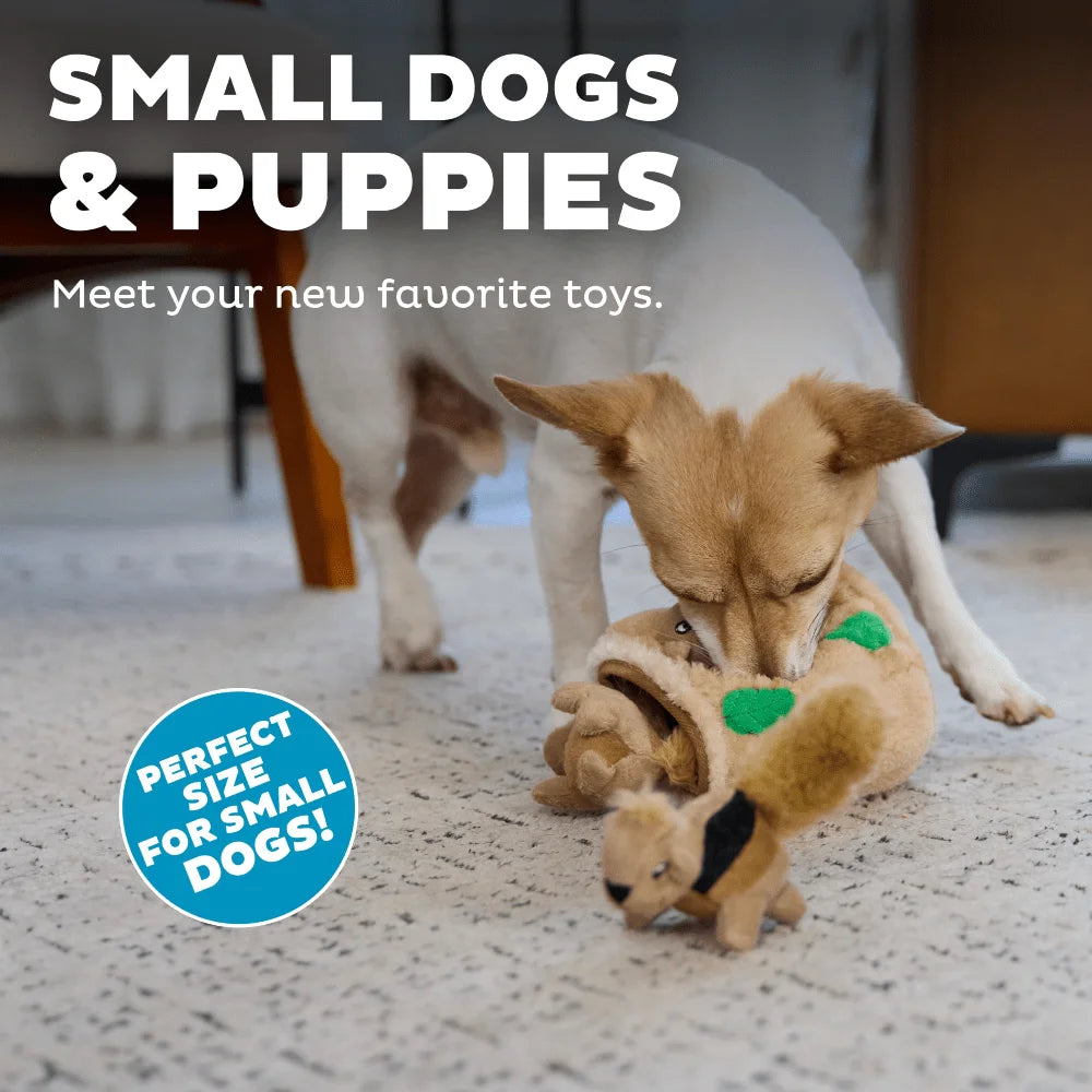 Interactive Plush Squirrel Hide Toy With Squeaky Removable Squirrels