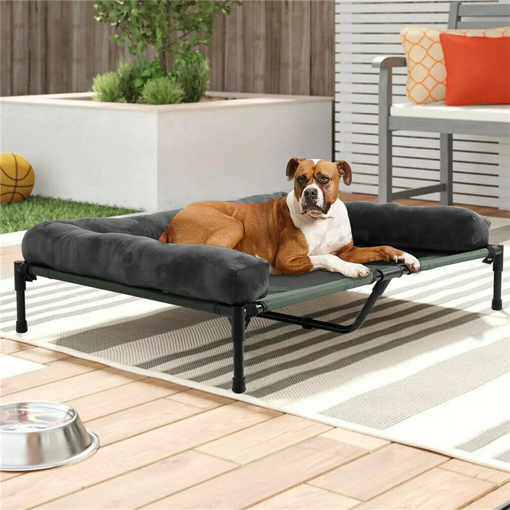 Bingopaw Elevated Pet Lounger Bed With Detachable Bolster