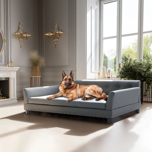 BINGOPAW Elevated Rectangle Dog Bed Sofa Durable Waterproof Leather