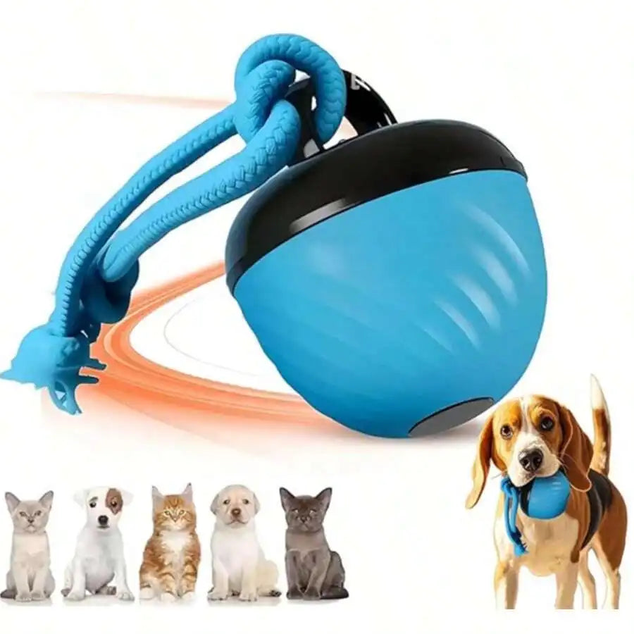 Interactive Dog Toy Ball With Rope Rolling Automatic Toy