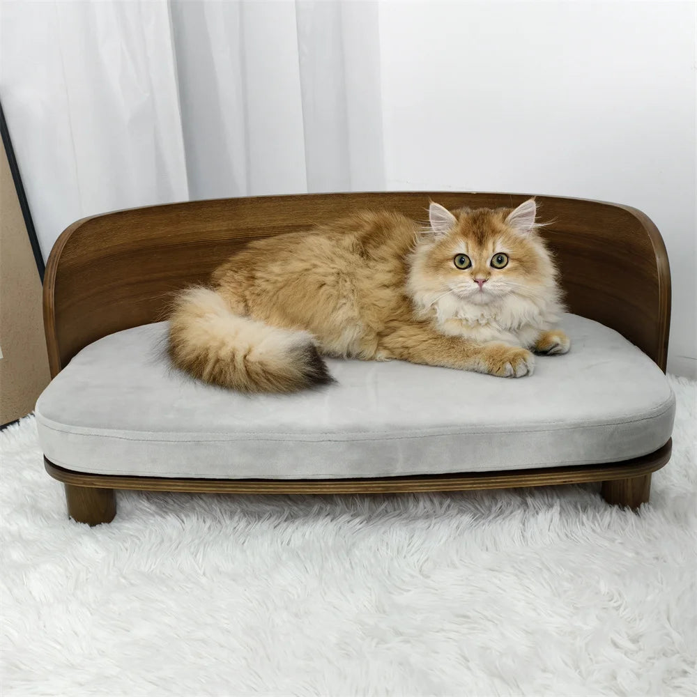 Borwart Elevated Pet Sofa With Eucalyptus Wood Frame And Cushion