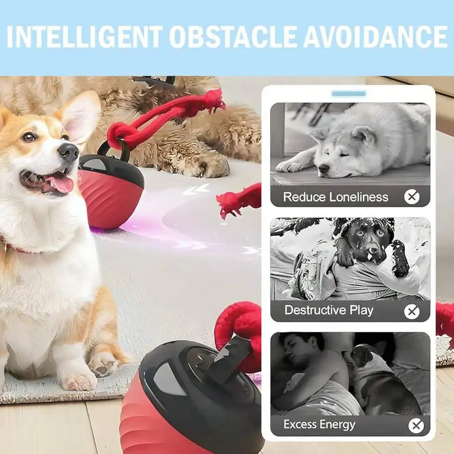 Interactive Dog Toy Ball With Rope Rolling Automatic Toy