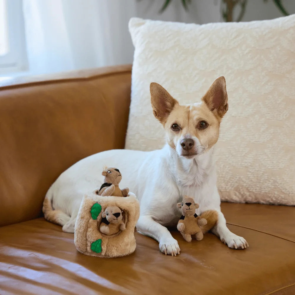 Interactive Plush Squirrel Hide And Seek Toy With Removable Squirrels