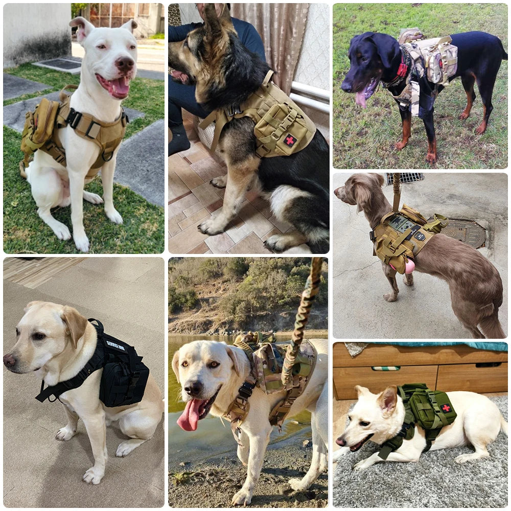 Rugged Tactical Dog Harness Leash Set No Pull Training