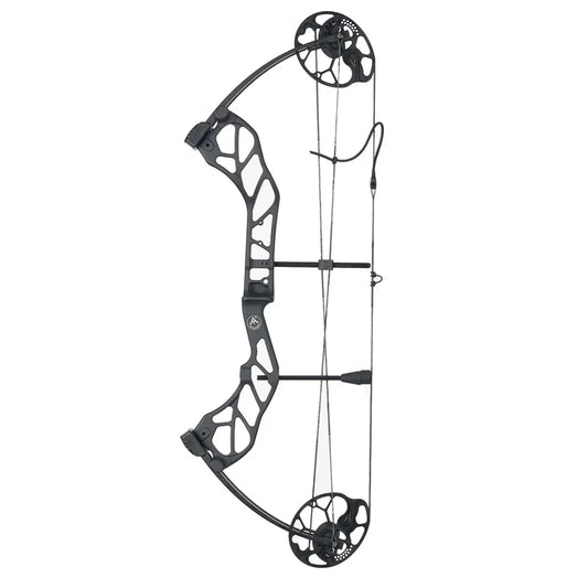 Compound Bow Archery Sets 19-70lbs Draw Weight Adjustable Shooting Right Hand Hunting Bows Adult Beginners Kit Up to IBO 320 Fps